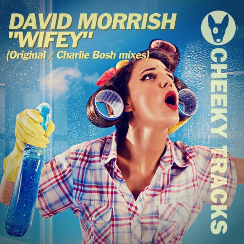 VA - David Morrish - Wifey (2022) (MP3)