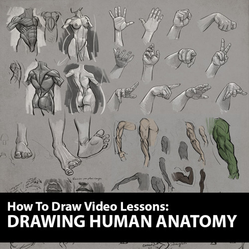The Art of Aaron Blaise - How to Draw - Drawing Human Anatomy