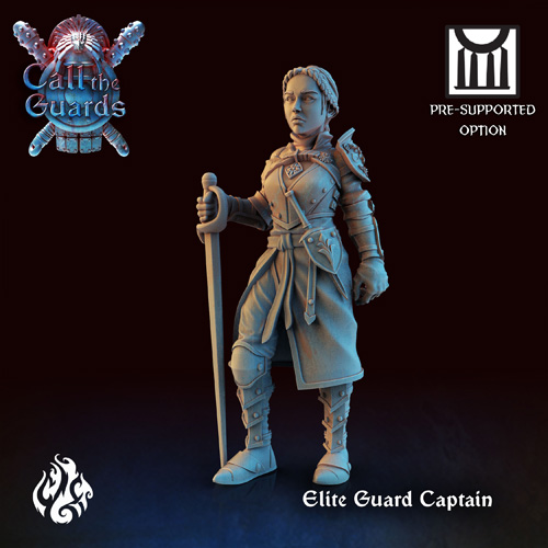 Elite Guard Captain 3D Print