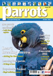 Parrots - October 2022
