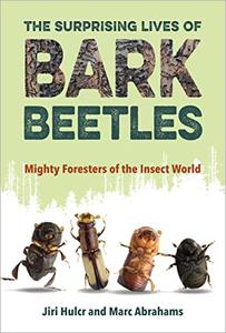 The Surprising Lives of Bark Beetles Mighty Foresters of the Insect World