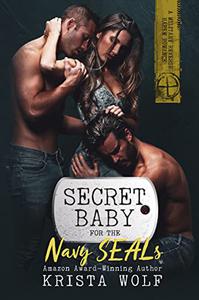 Secret Baby for the Navy SEALs A Military Reverse Harem Romance