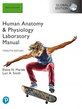 Human Anatomy & Physiology Laboratory Manual, Main Version, 12th Edition , Global Edition