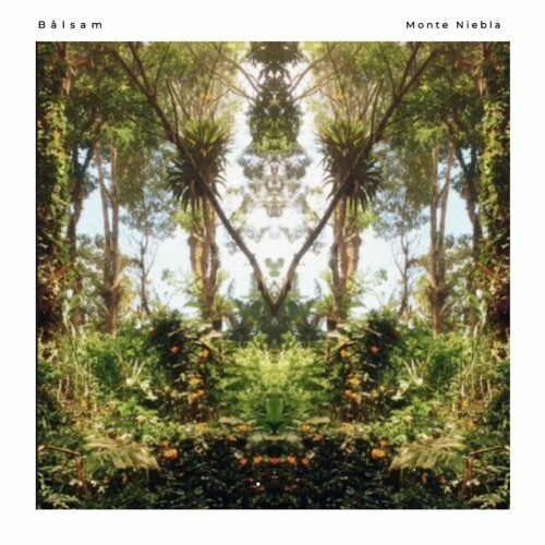 VA - Balsam - Monte Niebla (2022) (MP3)