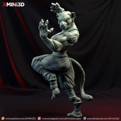 Tabaxi Monk Female 3D Print