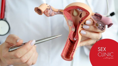 Internal Female Genital Anatomy