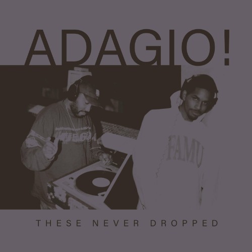 VA - Adagio - These Never Dropped (2022) (MP3)