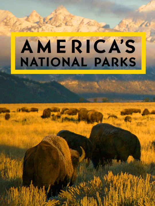 Parki narodowe Ameryki / America's National Parks (2022) [SEZON 1] PL.1080i.HDTV.H264-B89 | POLSKI LEKTOR