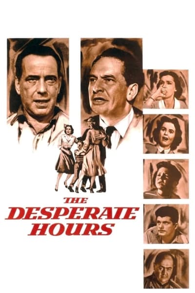 The Desperate Hours 1955 1080p BluRay x264-GeneMige
