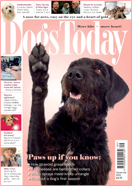 Dogs Today UK-September 2022