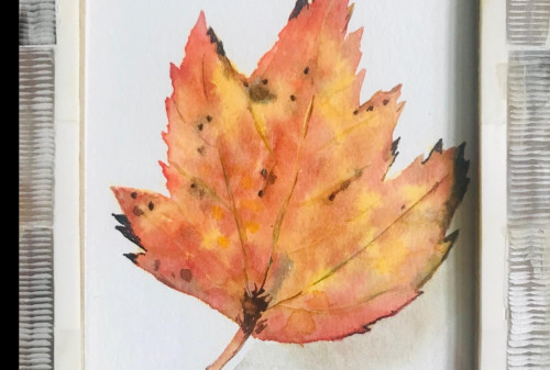 SkillShare - Easy Autumn Leaves Fall Leaves A Watercolor Project For Beginners