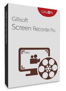 GiliSoft Screen Recorder Pro 11.6 Multilingual