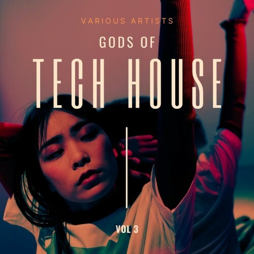 VA - Gods of Tech House, Vol. 3 (2022) (MP3)