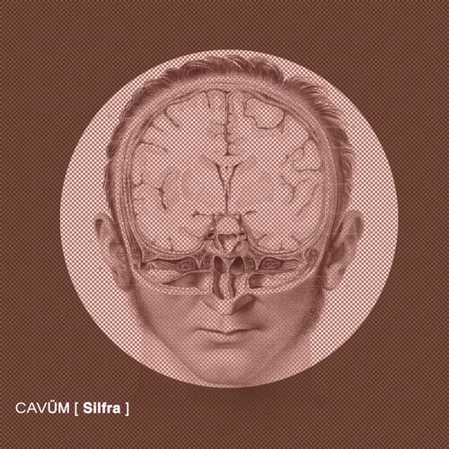 VA - Cavum - Silfra (2022) (MP3)