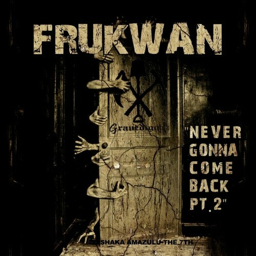 VA - Frukwan - Never Gonna Come Back Pt 2 (2022) (MP3)