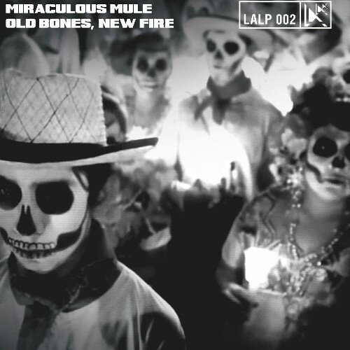 VA - Miraculous Mule - Old Bones, New Fire (2022) (MP3)