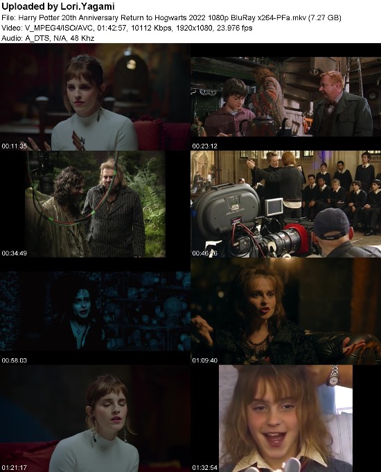 Harry Potter 20th Anniversary Return to Hogwarts 2022 1080p BluRay x264-PFa