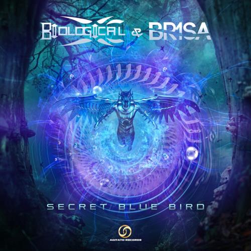 Biological & Br1sa - Secret Blue Bird (2022)