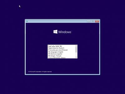 Windows 11 Pro Build 22000.978 (No TPM Required) Preactivated  Multilingual
