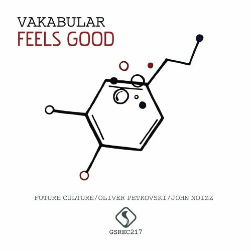 VA | Vakabular - Feels Good (2022) MP3