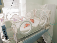 Особливості надання медичної допомоги новонародженим за Програмою медичних гарантій-2023