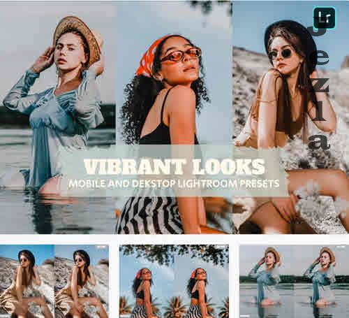 Vibrant Looks Lightroom Presets Dekstop and Mobile