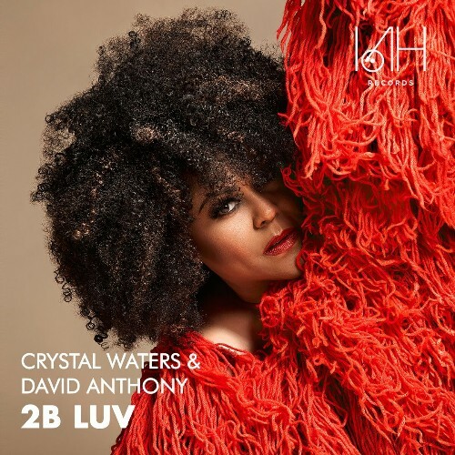 VA - Crystal Waters & David Anthony - 2B Luv (2022) (MP3)