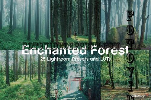25 Enchanted Forest Lightroom Preset - 10175306