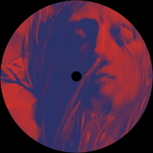 VA - NOHA - The Midnight Zone (2022) (MP3)
