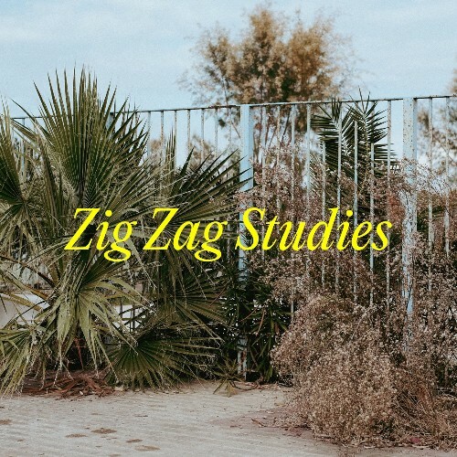 VA - Johannes Albert - Zig Zag Studies (2022) (MP3)