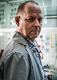 Матс Бергман