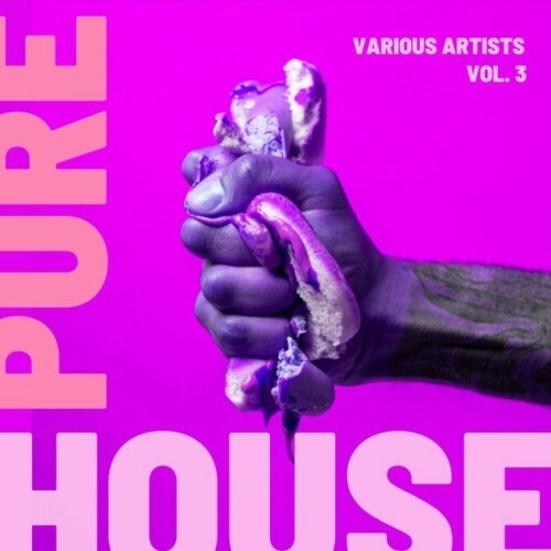 VA - Pure House, Vol. 3 (2022) (MP3)