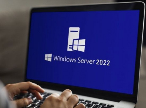 Windows Server 2022 LTSC 21H2 Build 20348.1006 x64 English September 2022 MSDN