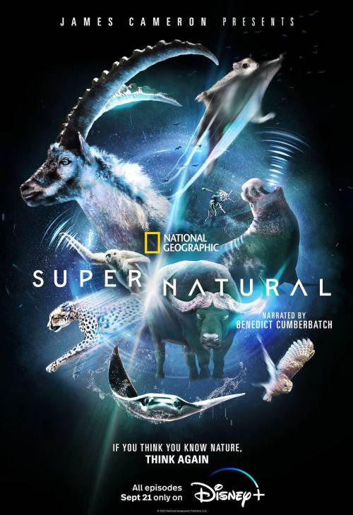 Cudowny świat zwierząt / Super/Natural (2022) [Sezon 1] MULTi.720p.WEB-DL.DDP.5.1-DSiTE / Lektor Napisy PL