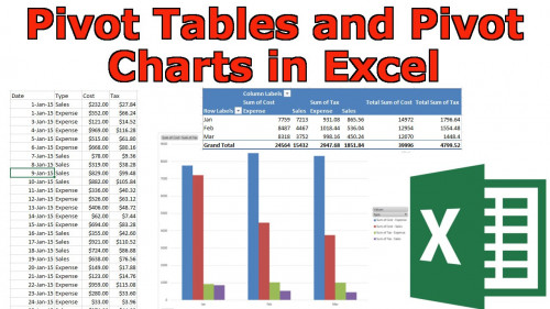MS Excel Pivot tables & Charts for Beginners