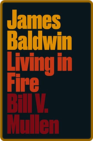James Baldwin  Living in Fire by Bill V  Mullen
