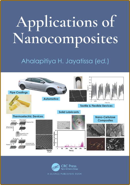 Jayatissa A  Applications of Nanocomposites 2022