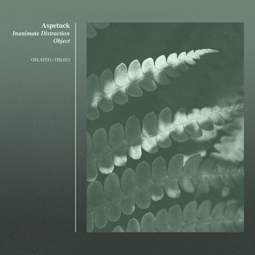 Aspetuck - Inanimate Distraction Object (2022)