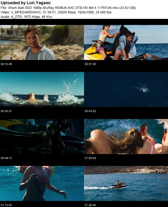 Shark Bait 2022 1080p BluRay REMUX AVC DTS-HD MA 5 1-TRiToN