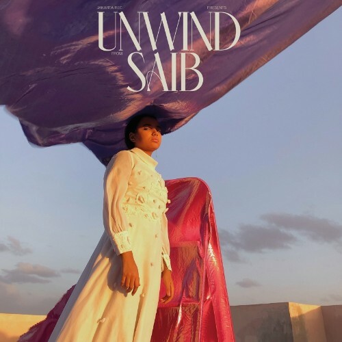 VA - Saib - Unwind (2022) (MP3)