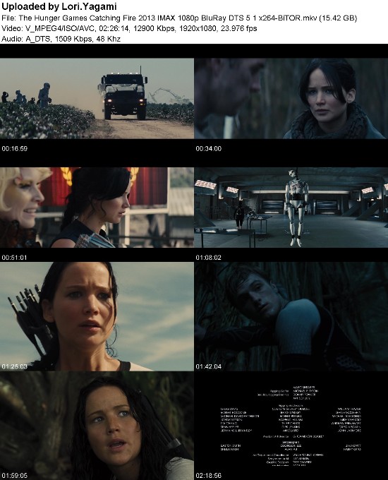 The Hunger Games Catching Fire 2013 IMAX 1080p BluRay DTS 5 1 x264-BiTOR