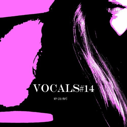 Vocals #14 (2022)