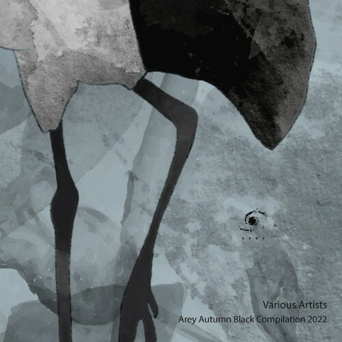 VA - Arey Autumn Black Compilation 2022 (2022) (MP3)