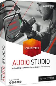 MAGIX SOUND FORGE Audio Studio 16.1.0.47 Multilingual (x86/x64)