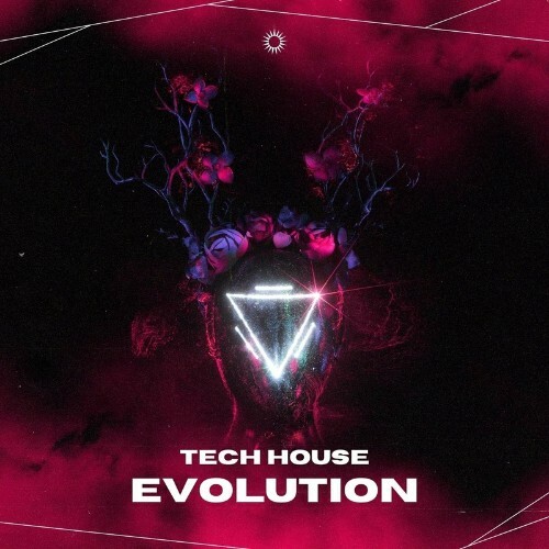Tech House Evolution (2022)