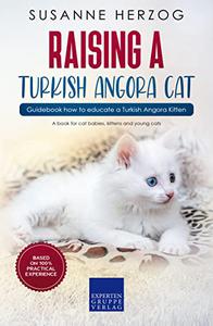 Raising a Turkish Angora Cat - Guidebook how to educate a Turkish Angora Kitten