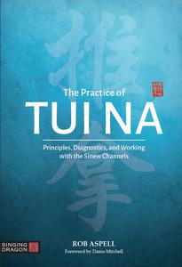 The Practice of Tui Na Principles, Diagnostics and Working with the Sinew Channels