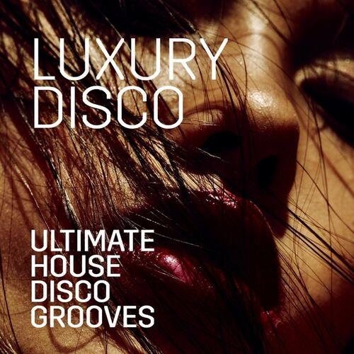 Sexy Funky House Grooves (2022)