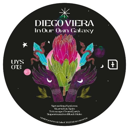 Diego Viera - In Our Own Galaxy (2022)