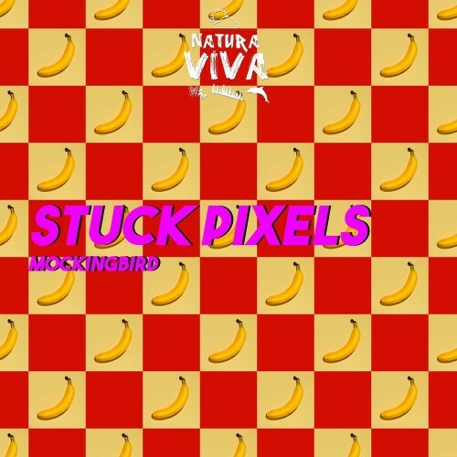 VA - Stuck Pixels - Mockingbird (2022) (MP3)